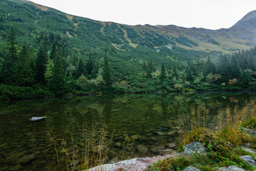 reflections of trees in the lake water in the morning mist