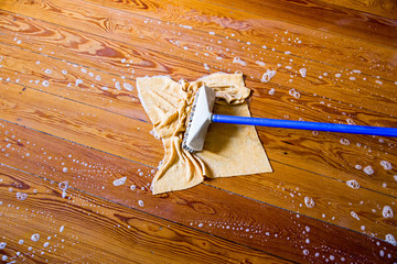 Bilder und Videos suchen: putzeimer