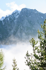 panoramic view of misty forest in mountain area with mountains hiding behind trees