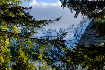 panoramic view of misty forest in mountain area with mountains hiding behind trees