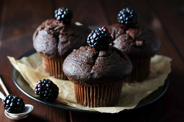 Chocolate muffins decorated with blackberry.
