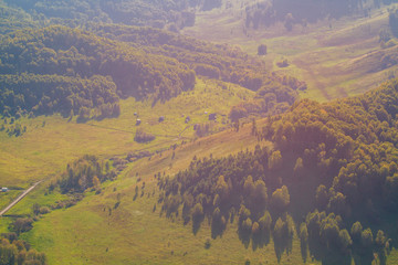Nature Of Altai. The slopes of the mountains. The mountains in the fall. Autumn landscape. Trees on the hills. View on green hills from the height of bird flight