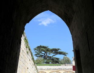 Porche d'entrée au Château d'Amboise.