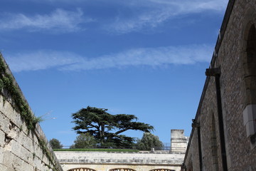 Accès au Château d'Amboise,