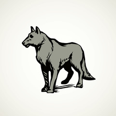 Wolf. Vector drawing