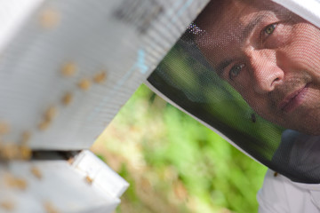 Closeup of beekeepers face behind veil