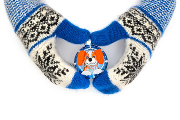 Christmas mittens are isolated on a white background.