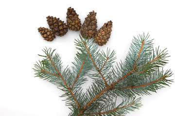 Christmas structure of a fir-tree, isolated on a white background