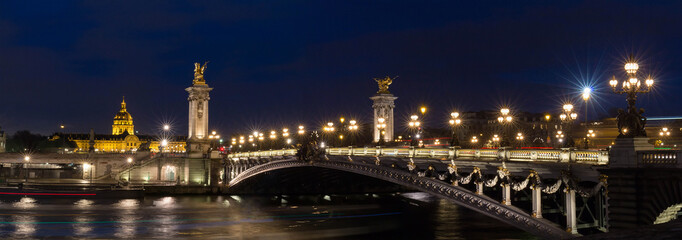 Fototapeta na wymiar The Alexandre III bridge at night in Paris, France