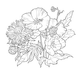 Coloring book with hand drawn flowers. Black and white illustration.