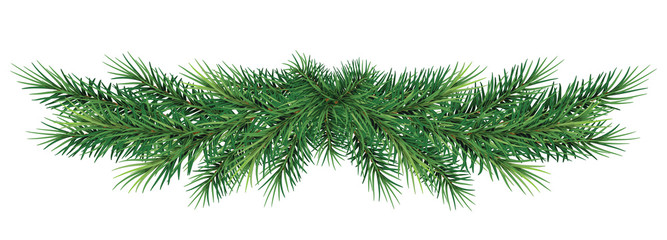  long garland of Christmas tree branches . Vector illustration. Eps 10. Realistic fir-tree border, frame isolated on white. Great for christmas flyers, party posters.