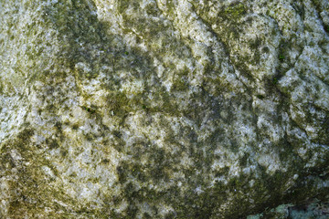 Gray stone texture.