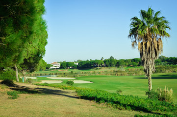 Sunny day and golf field natural scenic outdoors, bright sky background. Sunshine fitness leisure lifestyle space