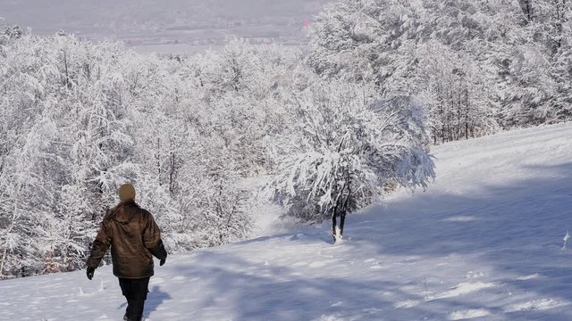 Man shake snow from tree - (4K)