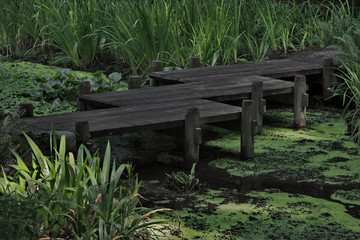 Bridge over quiet, green water