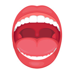 Fototapeta premium vector illustration of a anatomy human open mouth. medical diagram 