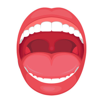  vector illustration of a  anatomy human open  mouth. medical diagram  