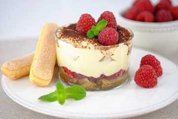 Italian dessert tiramisu.