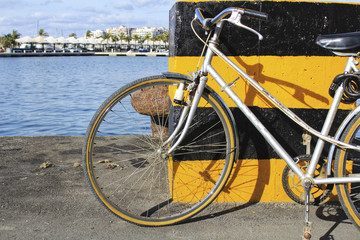 Fototapeta na wymiar Vintage bicycle by the sea