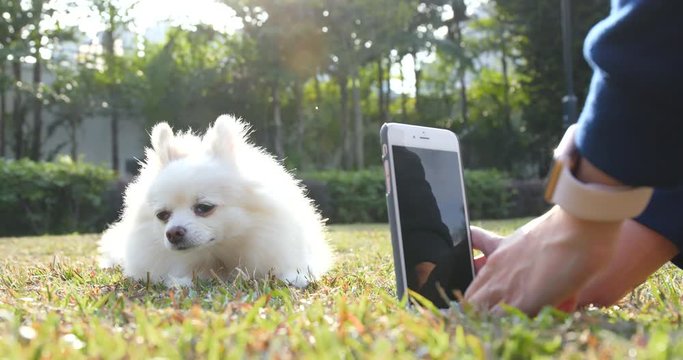 Woman using mobile phone to take photo on her dog