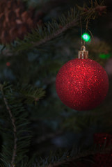 Red ball and pinecone