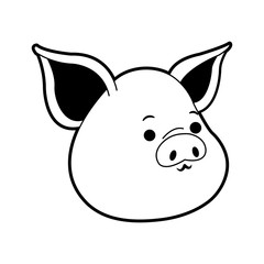 Pig cute cartoon