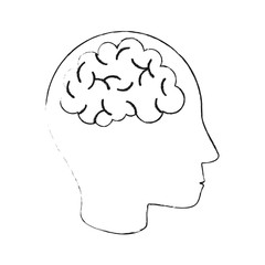 Human brain isolated