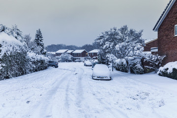 Trees and Cars Covered in Snow in United Kingdom