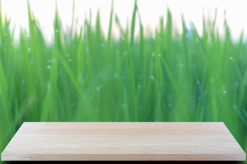 Empty top wooden board and blured of green rice plant background. Product display