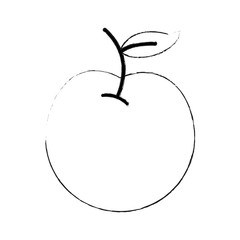 Apple delicious fruit