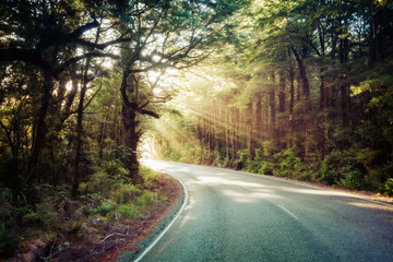 Road to Milford Sound