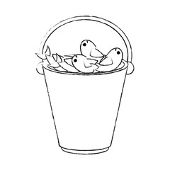 Fishes in bucket