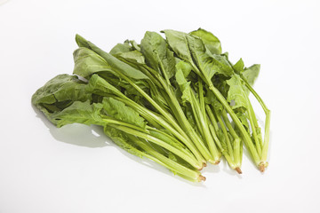 ほうれん草　ホウレン草　緑黄色野菜