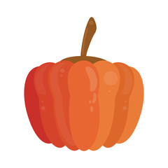 Pumpkin fresh vegetable