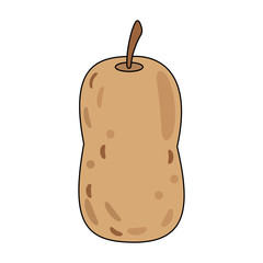 Delicious pear fruit