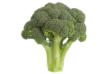 Broccoli cabbage on white