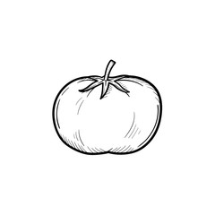 Vector hand drawn tomato outline doodle icon