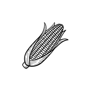 Vector hand drawn popcorn corn cob outline doodle icon