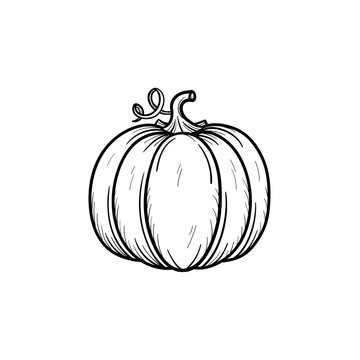 Vector hand drawn pumpkin outline doodle icon