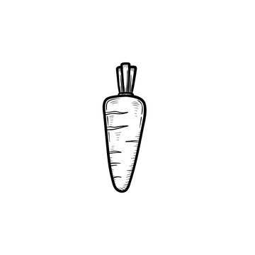 Vector hand drawn carrot outline doodle icon