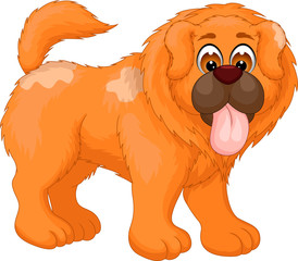 funny chow chow cartoon standing with laughing