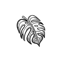 Fototapeta premium Vector hand drawn palm leaf outline doodle icon