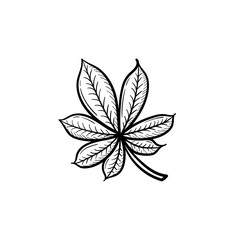 Vector hand drawn chestnut leaf outline doodle icon. Chestnut leaf sketch illustration for print, web, mobile and infographics isolated on white background.