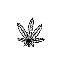 Vector hand drawn marijuana leaf outline doodle icon