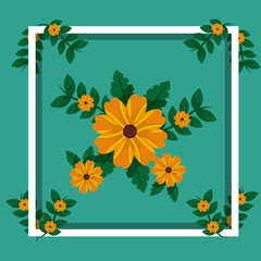 arrangement flowers floral decoration frame card image vector illustration