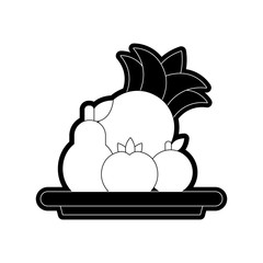 plate with fruits vector illustration