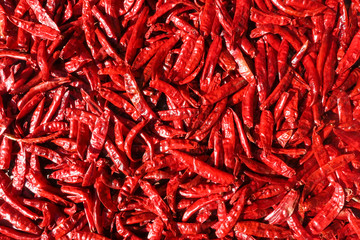 Fototapeta premium Pile of dried red chili peppers background, top view. 