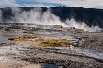 Sinter Terraces in Mammoth Hot Springs