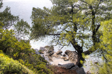 Obraz premium One of the many tropical beaches of Skopelos island in Greece 