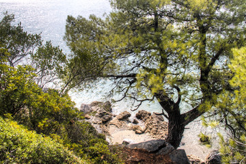 Fototapeta na wymiar One of the many tropical beaches of Skopelos island in Greece 